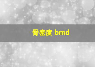 骨密度 bmd